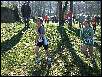 DSCF1154.JPG