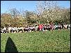 DSCF1225.JPG