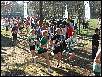 DSCF1262.JPG